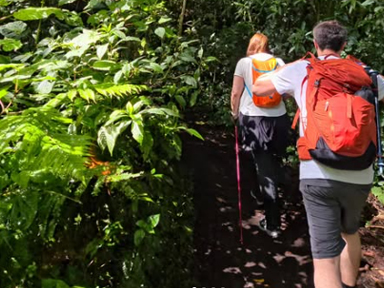 Senderos Maya Guatemala Tu Aventura Comienza Aquí